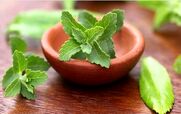  استویا چه خواصی برای افراد مبتلا به دیابت داره؟ 