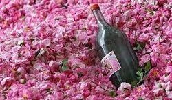  گلاب چطوری به درمان بی خوابی کمک می کنه؟ 