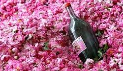  گلاب چطوری به درمان بی خوابی کمک می کنه؟ 