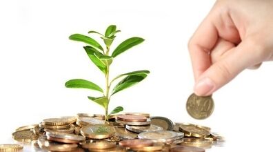 با خواندن این سوره ثروتمند میشوید؟ | افزایش رزق و روزی با سوره فیل
