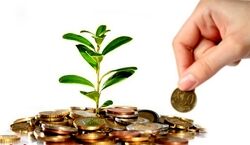 با خواندن این سوره ثروتمند میشوید؟ | افزایش رزق و روزی با سوره فیل