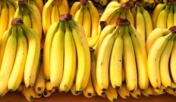 یک تیکه پوست موز و یک دنیا خواص برای گیاهان