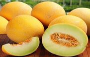  آشنایی با طالبی و خواص آن در طب سنتی + طبع و ارزش غذایی 