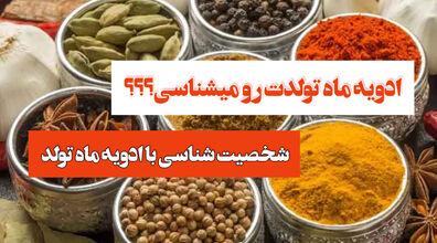 طالع بینی بر اساس ادویه متولدین هر ماه + فیلم