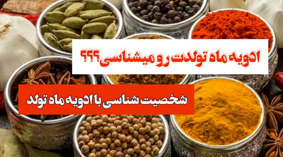 طالع بینی بر اساس ادویه متولدین هر ماه + فیلم