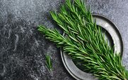  تسکین طبیعی دردهای مفصلی با استفاده از رزماری 