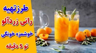  آموزش تهیه رانی زرد آلو خانگی با طعمی فوق‌العاده 