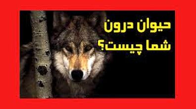 حیوان درون متولدین هر ماه چیه؟ | با حیوان درونتان آشنا شوید + فیلم