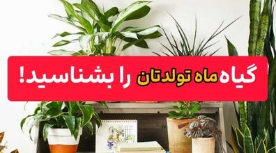 گل های مناسب با شخصیت افراد متولدین هر ماه | متولدین هر ماه از نظر اخلاقی اگه گل بودن!