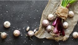  آشنایی با خواص بی نظیر موسیر در طب سنتی + طبع 