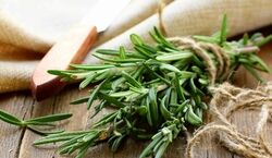  فواید شگفت انگیز رزماری برای سلامت بدن + طرز تهیه چای رزماری