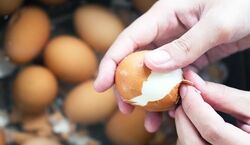 با این ترفند پوست تخم مرغ آب پز رو به راحتی جدا کن + فیلم 