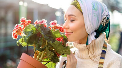 گیاهان آپارتمانی عطر دار که خونه رو خوشبو میکنن + مزایا