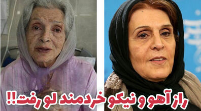 آهو خردمند و نیکو خردمند چه نسبتی با هم دارن؟ + عکس و معرفی