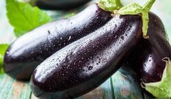 چجوری بادمجان رو تا یه ماه تو یخچال تازه نگه داریم؟ + فیلم