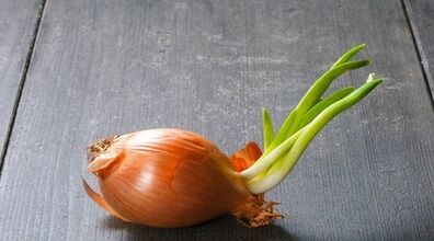 خوردن سیر و پیاز جوانه زده ضرر دارد؟ | چطوری جلوی جوانه زدن سیر و پیاز رو بگیریم؟ 