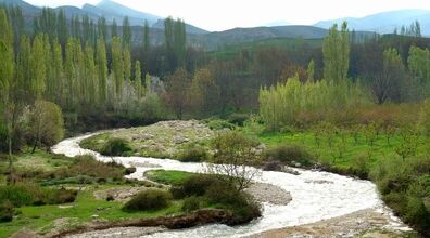 مردم این روستای ایران هیچوقت نمیرن داروخانه!! + عکس و دلیل