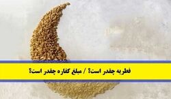 اعلام مبلغ فطریه سال ۱۴۰۲ از سوی رهبر انقلاب | شیوه پرداخت زکات فطریه + جزئیات 