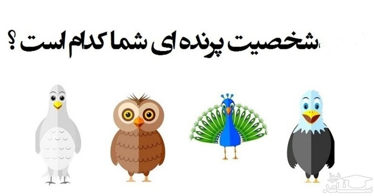 شخصیت شناسی