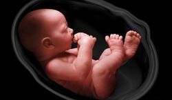 جنین ترسناک در بدن این زن همه را به وحشت انداخت + عکس 