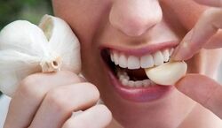 رفع بوی سیر از دهان با ۵ راهکار ساده | برای از بین بردن بوی سیر از دهان چه کنیم؟