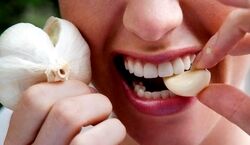 رفع بوی سیر از دهان با ۵ راهکار ساده | برای از بین بردن بوی سیر از دهان چه کنیم؟