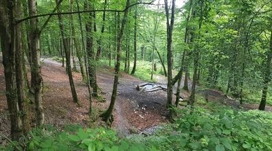 دره چاشت خوران؛ جاذبه تازه کشف شده گرگان + مسیر دسترسی 