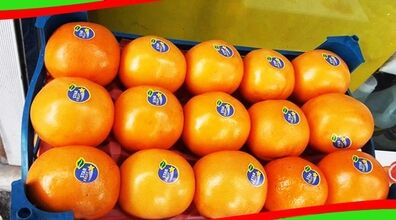 برچسب روی میوه ها چه معنی میده؟ + عکس و توضیحات