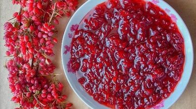بیا با زرشک یه مربای ملس وخوشمزه درست کنیم + طرز تهیه مربای زرشک