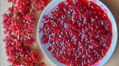 بیا با زرشک یه مربای ملس وخوشمزه درست کنیم + طرز تهیه مربای زرشک
