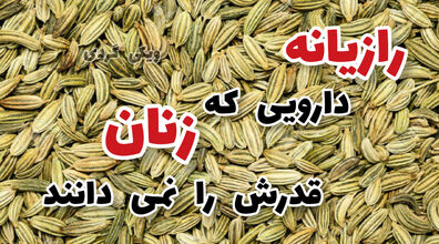 دارویی که زنان قدرش را نمی دانند | خواص فوق العاده رازیانه برای زنان