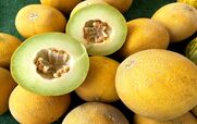  خواص خربزه در طب سنتی برای سلامتی + طبع و ارزش غذایی 