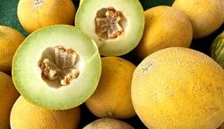  خواص خربزه در طب سنتی برای سلامتی + طبع و ارزش غذایی 