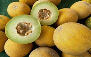  خواص خربزه در طب سنتی برای سلامتی + طبع و ارزش غذایی 
