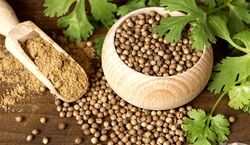 پودر گشنیز رو تو چه غذاهایی می ریزن؟ | روش تهیه پودر گشنیز در خانه + نکات