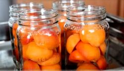 با سرکه و زردآلو، ترشی درست کن و کدبانو بودنت رو به رخ بکش! + طرز تهیه