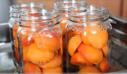 با سرکه و زردآلو، ترشی درست کن و کدبانو بودنت رو به رخ بکش! + طرز تهیه