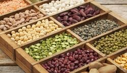 حبوبات در بازار به چه قیمتی فروخته میشن؟ + جدول قیمت حبوبات