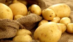 سیب زمینی و اینهمه خواص باورنکردنی! | پیشگیری از ابتلا به این بیماری ها با سیب زمینی