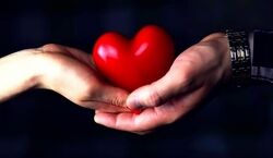 عشق از دیدگاه متولدین هر ماه چجوریه؟ | دیدگاه متولدین هر ماه به عشق 