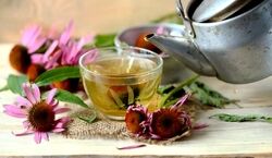 دمنوش های مفید برای گوارش روزه داران | در ایام ماه رمضان حتما این دمنوش ها را بنوشید