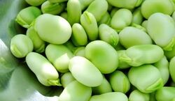با باقلا چی بپزم؟ | 4 تا از خوشمزه ترین غذاهایی که با باقلا می تونی بپزی! + طرز تهیه