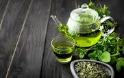 جلوگیری تضمینی از ریرش مو با مصرف چای سبز + روش مصرف