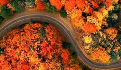 حال و هوای پاییزی رویایی جاده اسالم به خلخال! + عکس 