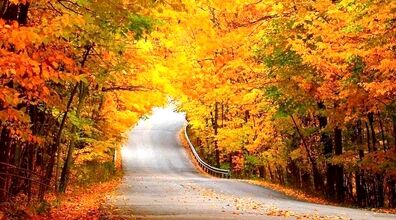 بهترین مکان های پاییزی ایران برای لوکیشن عکاسی