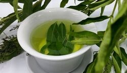 معجزه برگ سنا برای درمان یبوست + روش استفاده