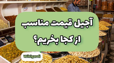 راسته آجیل فروش های تهران کجاست؟ + فیلم
