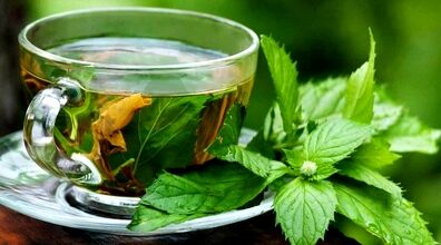گزنه کم خونی شما رو تا 7 نسل تون از بین می بره