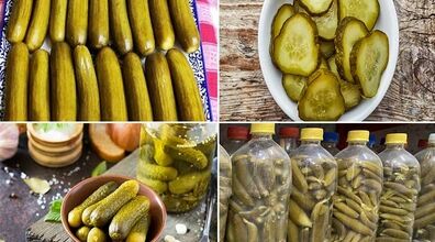 طرز تهیه خیارشور خانگی به سبک بازاری ها | سبزی اصلی خیارشور کدام است؟ + لیست 