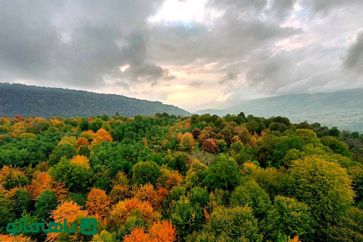 کاور